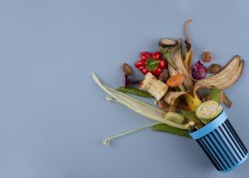 disposicion-de-abono-de-comida-podrida-con-espacio-de-copia-1